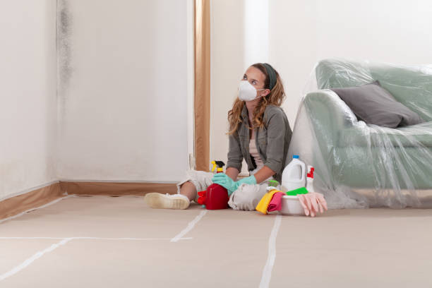 Reliable Mold Inspection And Testing contractor in Norwood, NJ by Car Mold Remediation